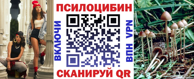 Псилоцибиновые грибы MAGIC MUSHROOMS  купить   Тында 